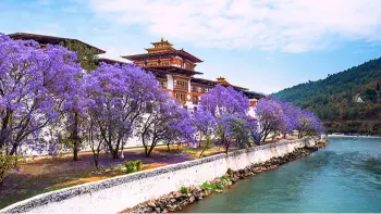Punakha Dzong Bhutan