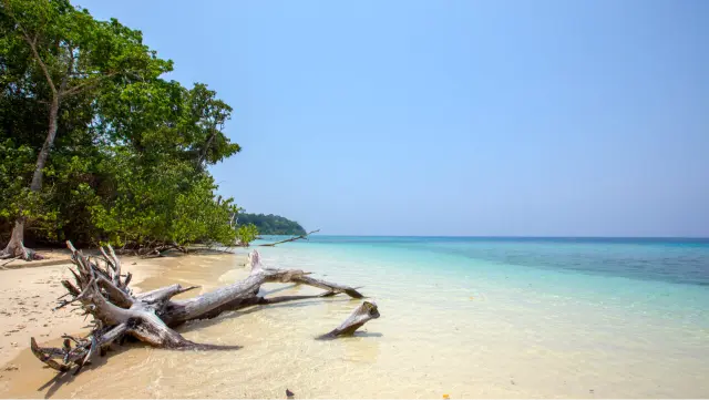 Havelock Island Tour