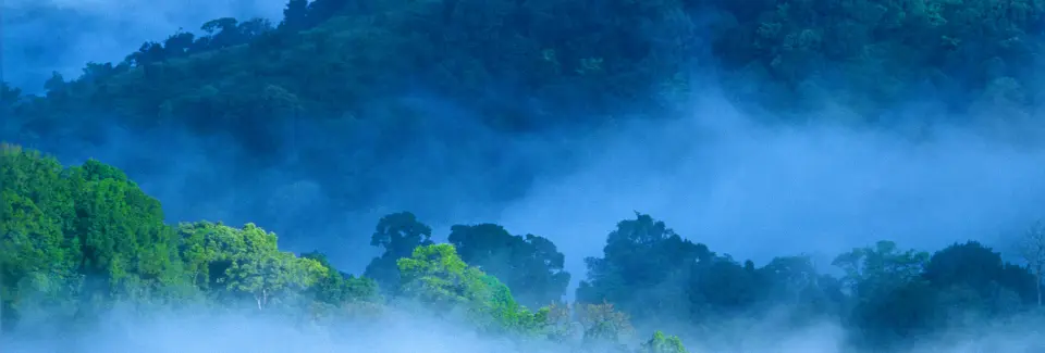 Kerala Wildlife Tour